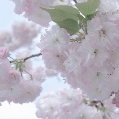 兽设家庭场景绘制兽圈群